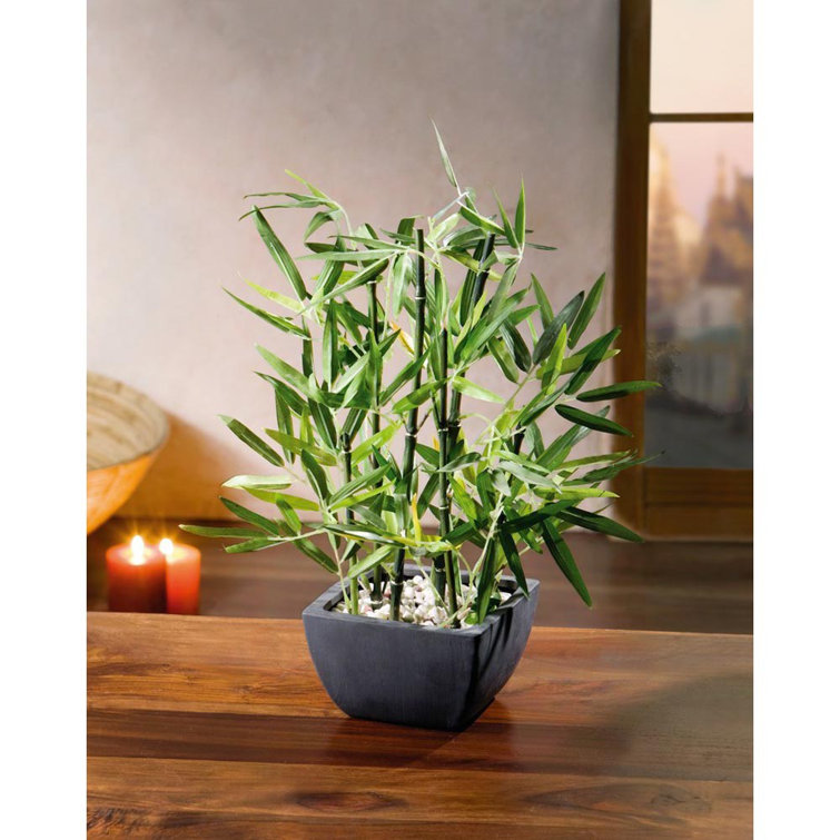 Primrue 18'' Faux Bamboo Plant in Pot & Reviews Wayfair